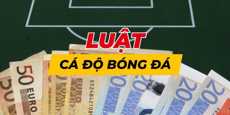 Học hỏi luật cá độ bóng đá cơ bản với người mới