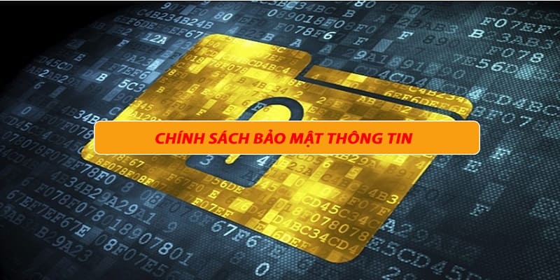 Nội dung của chính sách bảo mật 98Win 