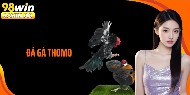 Đá Gà Thomo